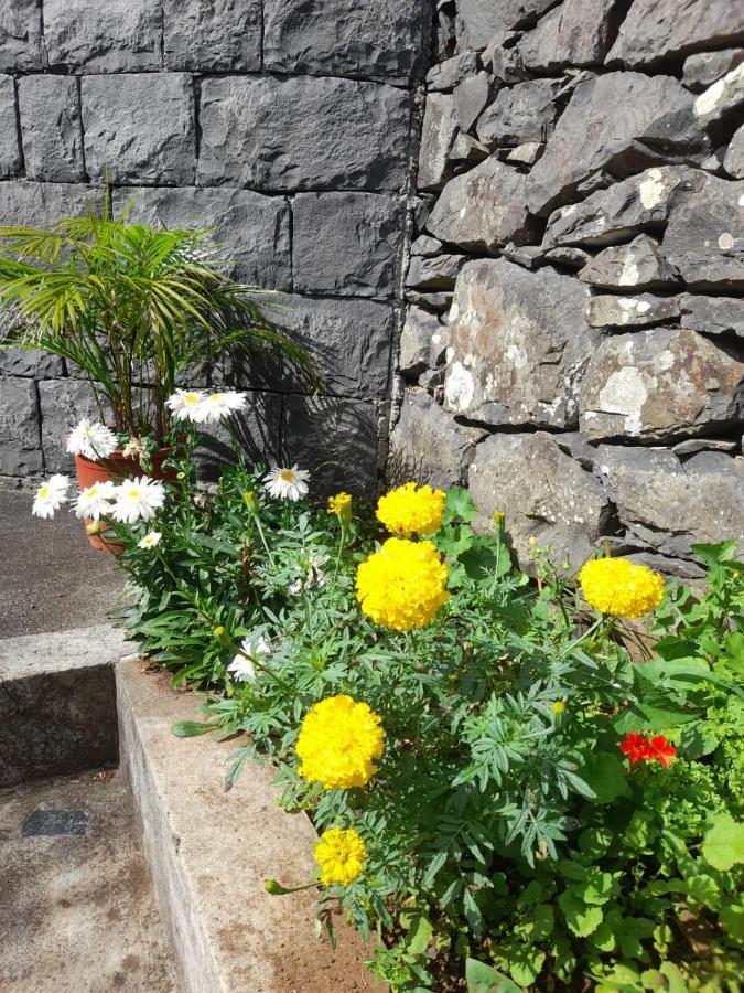 Paraiso Resiliente Santana  Kültér fotó